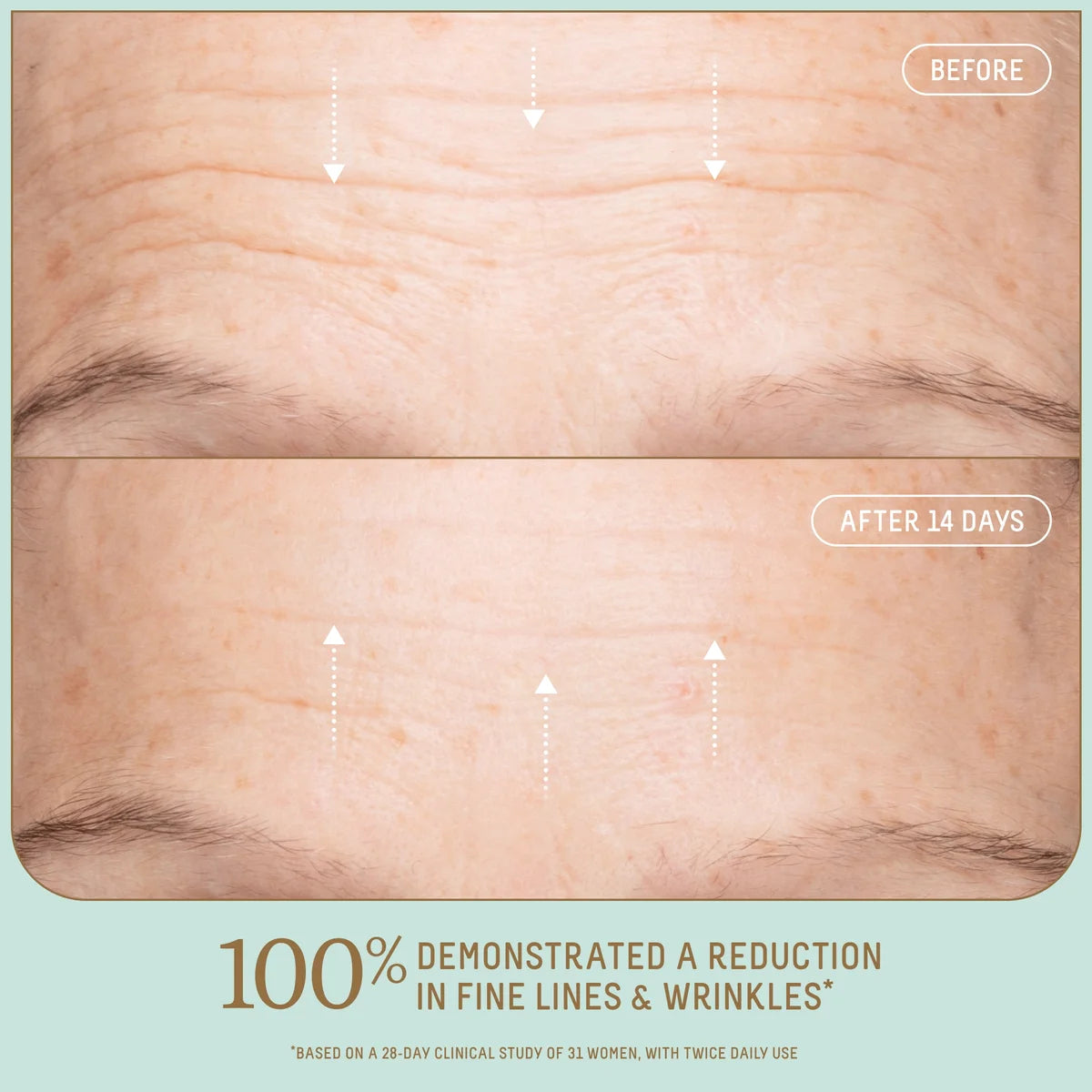 Squalane + Copper Peptide (GHK-Cu) Rapid Plumping Serum